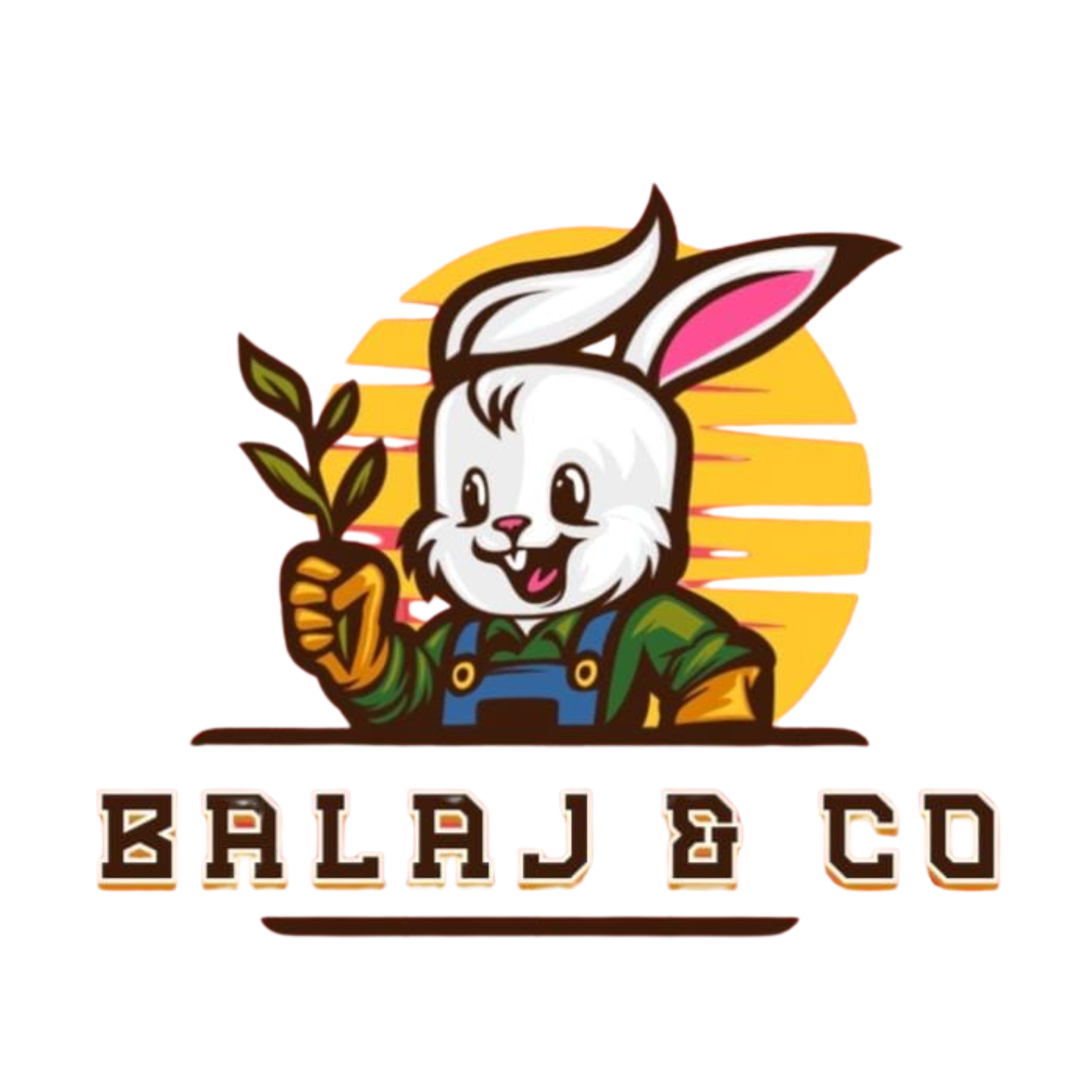 Balaj&co