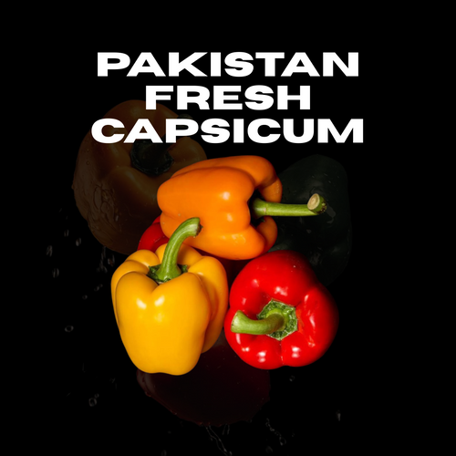Fresh Green Capsicum – Export Quality | Bulk Supply for Wholesalers & Importers