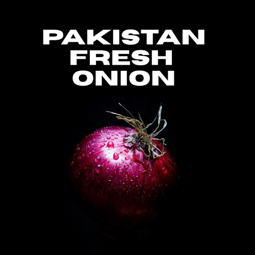 Fresh Red Onion – Premium Export Quality | Bulk Supply for Wholesalers