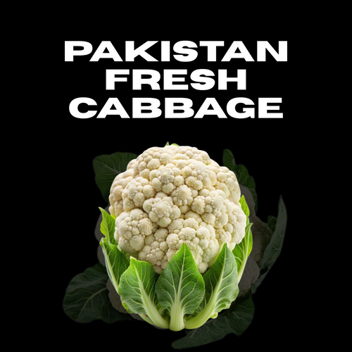 Fresh Green Cabbage – Export Quality | Bulk Supply for Wholesalers & Importers