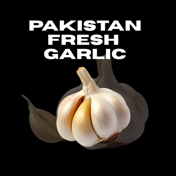 Fresh White Garlic – Premium Export Quality | Bulk Supply for Wholesalers